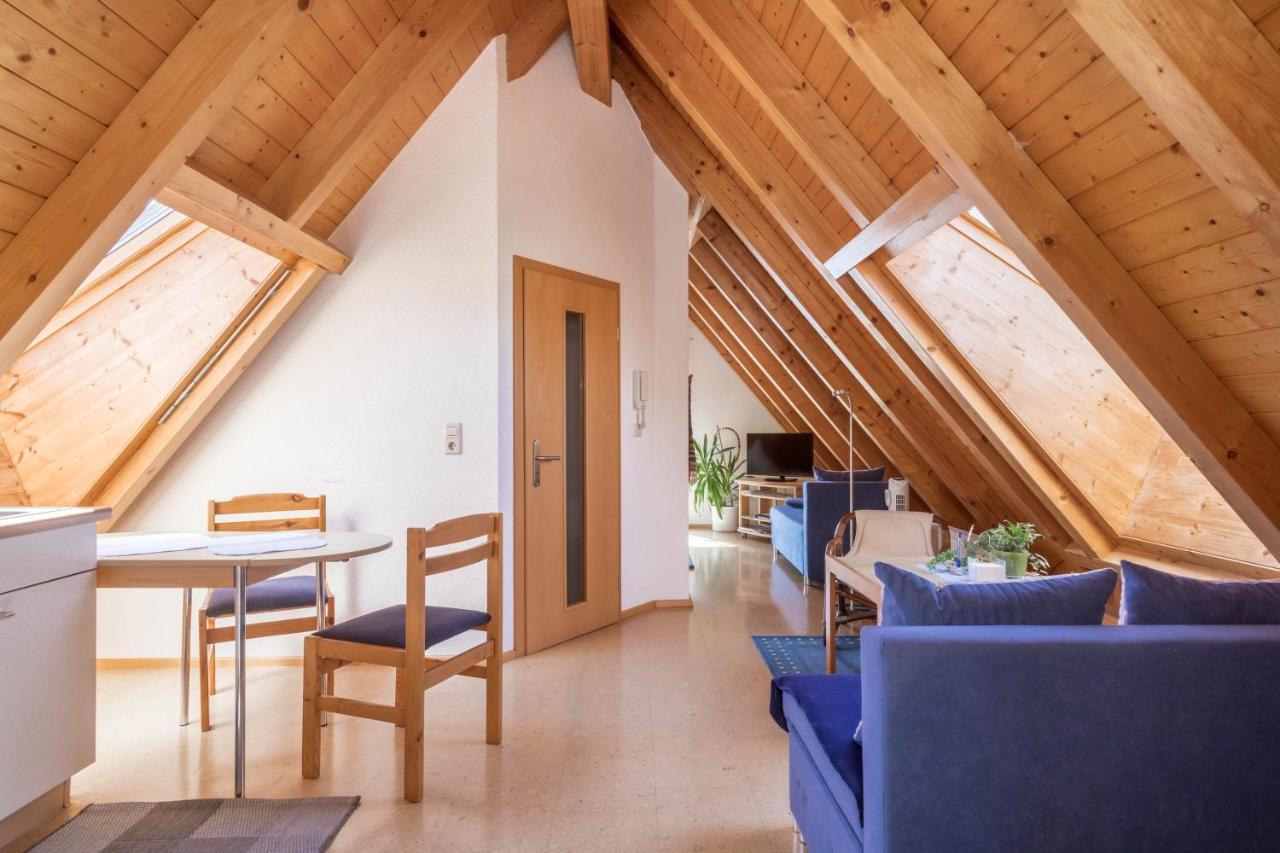 Appartement Haus Sonnenschein à Eriskirch Extérieur photo
